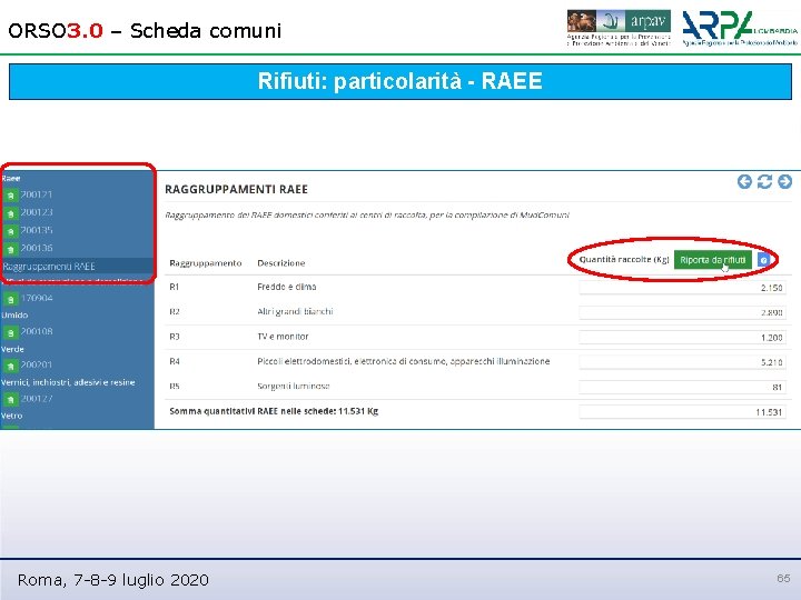 ORSO 3. 0 – Scheda comuni Rifiuti: particolarità - RAEE Roma, 7 -8 -9