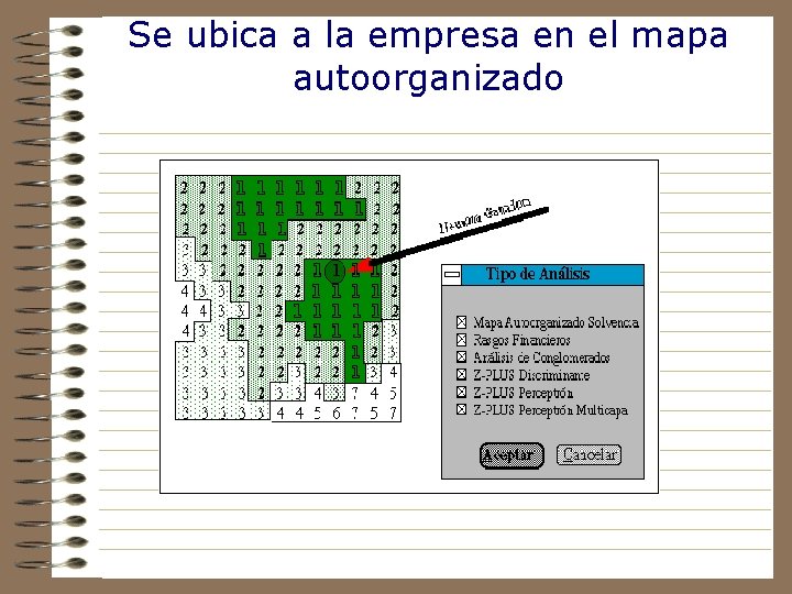 Se ubica a la empresa en el mapa autoorganizado 