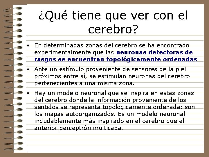 ¿Qué tiene que ver con el cerebro? • En determinadas zonas del cerebro se