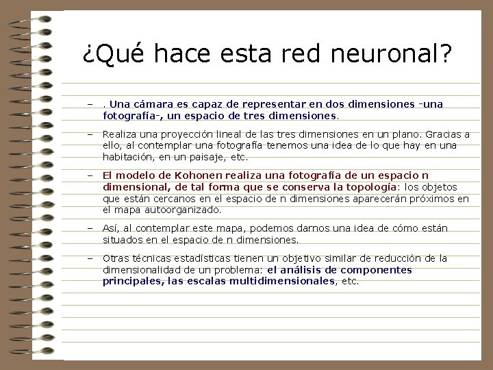 ¿Qué hace esta red neuronal? –. Una cámara es capaz de representar en dos