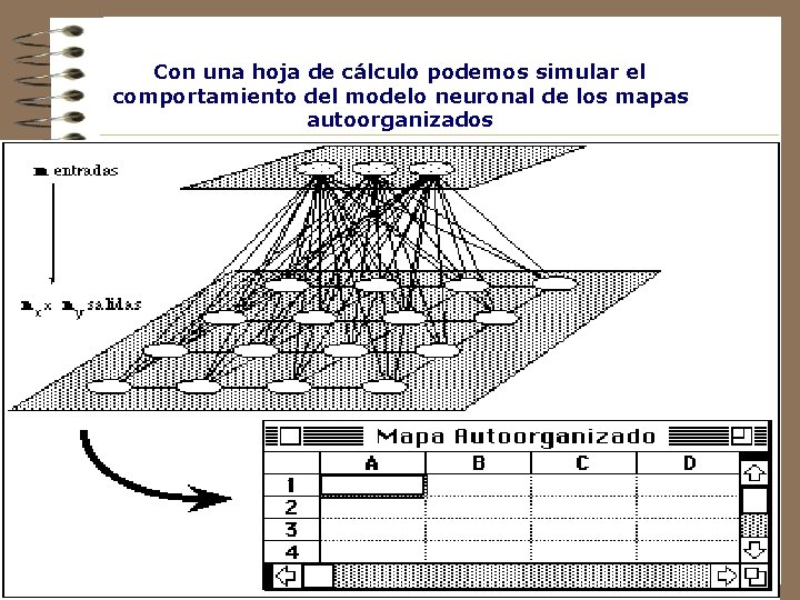 Con una hoja de cálculo podemos simular el comportamiento del modelo neuronal de los