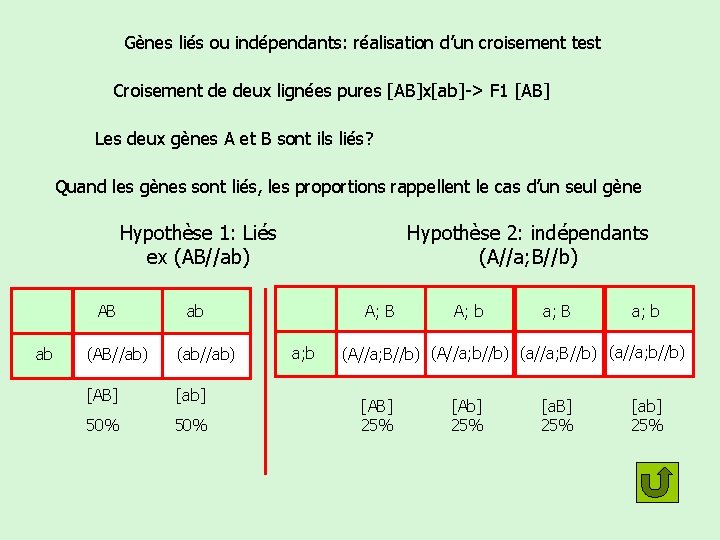 Gènes liés ou indépendants: réalisation d’un croisement test Croisement de deux lignées pures [AB]x[ab]->