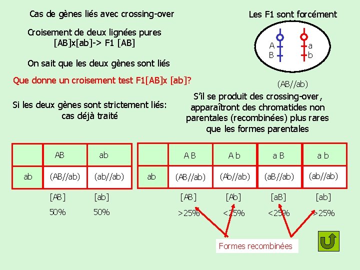 Cas de gènes liés avec crossing-over Les F 1 sont forcément Croisement de deux