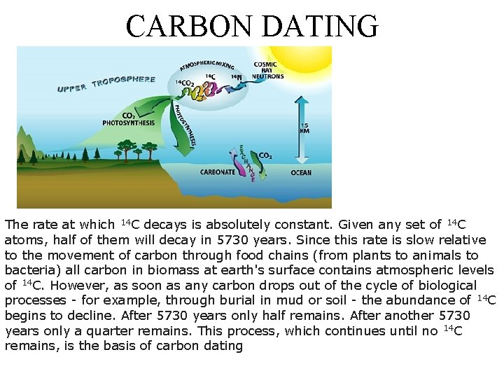 CARBON DATING The rate at which 14 C decays is absolutely constant. Given any