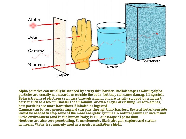  Alpha particles can usually be stopped by a very thin barrier. Radioisotopes emitting