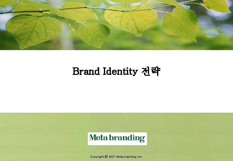 Brand Identity 전략 Copyright ⓒ 2001 Meta branding Inc. 