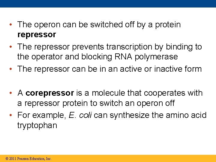  • The operon can be switched off by a protein repressor • The