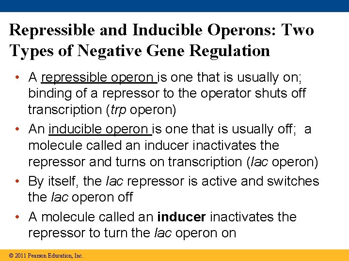 Repressible and Inducible Operons: Two Types of Negative Gene Regulation • A repressible operon