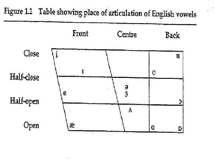 Describing vowels 19 Describing vowels 19