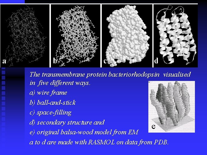 The transmembrane protein bacteriorhodopsin visualised in five different ways. a) wire frame b) ball-and-stick