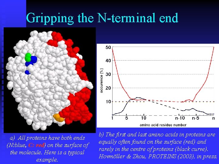 Gripping the N-terminal end a) All proteins have both ends (N: blue, C: red)