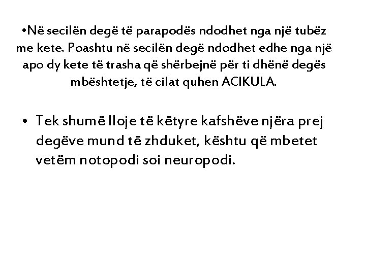  • Në secilën degë të parapodës ndodhet nga një tubëz me kete. Poashtu