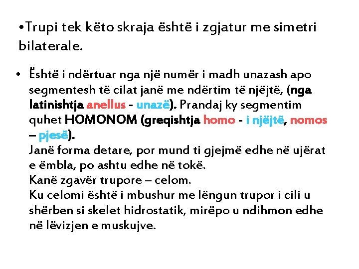  • Trupi tek këto skraja është i zgjatur me simetri bilaterale. • Është