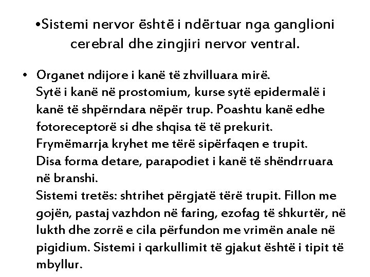  • Sistemi nervor është i ndërtuar nga ganglioni cerebral dhe zingjiri nervor ventral.