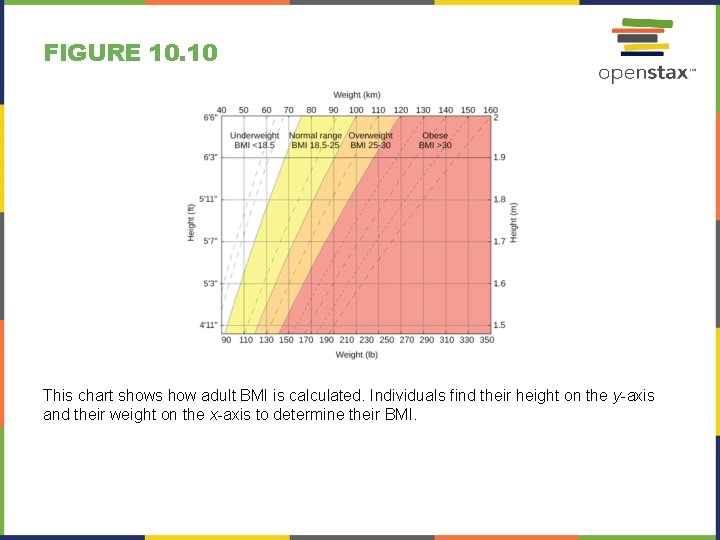 FIGURE 10. 10 This chart shows how adult BMI is calculated. Individuals find their