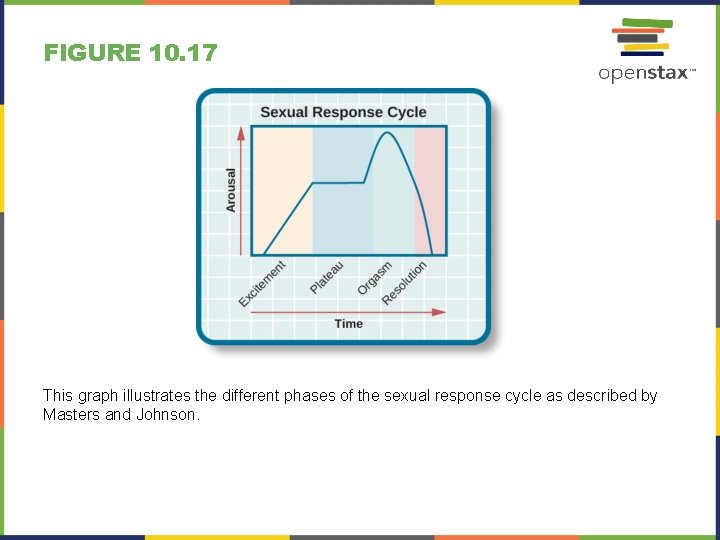 FIGURE 10. 17 This graph illustrates the different phases of the sexual response cycle
