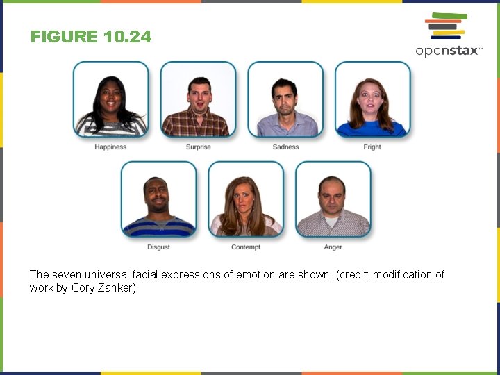 FIGURE 10. 24 The seven universal facial expressions of emotion are shown. (credit: modification