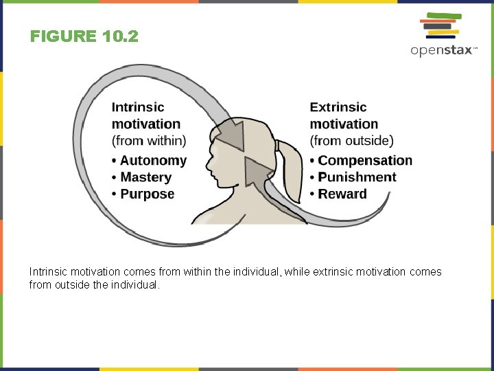 FIGURE 10. 2 Intrinsic motivation comes from within the individual, while extrinsic motivation comes