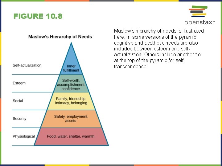 FIGURE 10. 8 Maslow’s hierarchy of needs is illustrated here. In some versions of