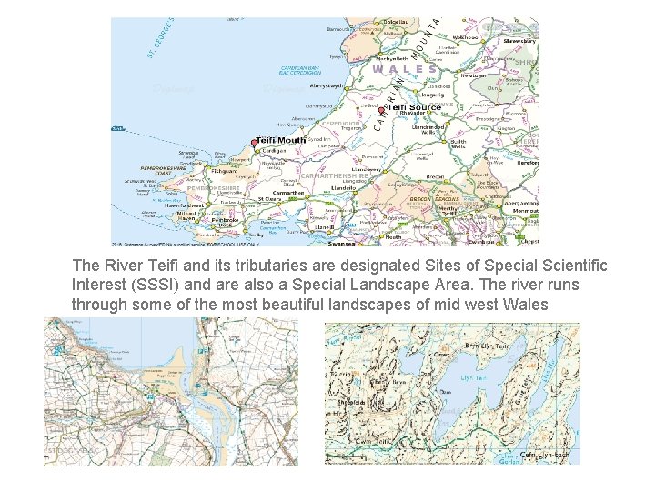 The River Teifi and its tributaries are designated Sites of Special Scientific Interest (SSSI)