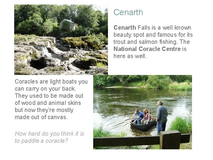 Cenarth Falls is a well known beauty spot and famous for its trout and