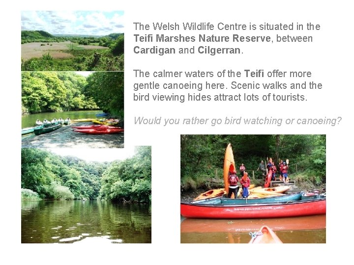 The Welsh Wildlife Centre is situated in the Teifi Marshes Nature Reserve, between Cardigan