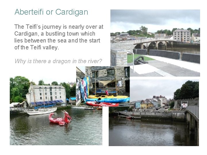 Aberteifi or Cardigan The Teifi’s journey is nearly over at Cardigan, a bustling town