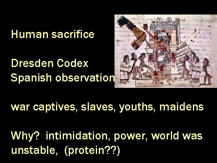 Human sacrifice Dresden Codex Spanish observations war captives, slaves, youths, maidens Why? intimidation, power,