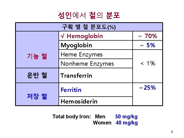 성인에서 철의 분포 구획 별 철 분포도(%) 기능 철 운반 철 저장 철 √