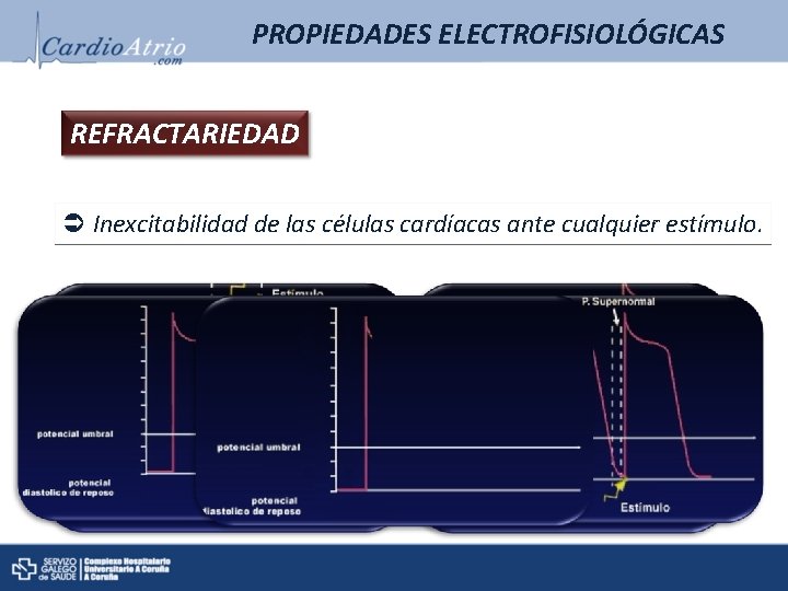 PROPIEDADES ELECTROFISIOLÓGICAS REFRACTARIEDAD Inexcitabilidad de las células cardíacas ante cualquier estímulo. PROPIEDADES ELECTROFISIOLÓGICAS REFRACTARIEDAD Inexcitabilidad de las células cardíacas ante cualquier estímulo.