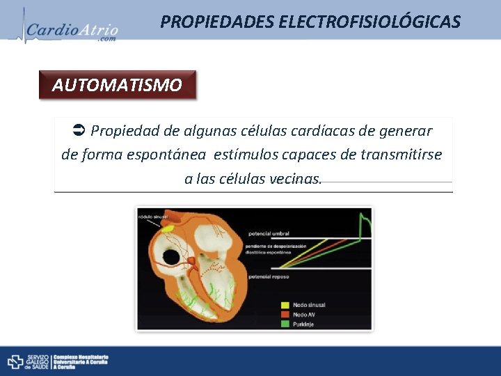 PROPIEDADES ELECTROFISIOLÓGICAS AUTOMATISMO Propiedad de algunas células cardíacas de generar de forma espontánea estímulos PROPIEDADES ELECTROFISIOLÓGICAS AUTOMATISMO Propiedad de algunas células cardíacas de generar de forma espontánea estímulos