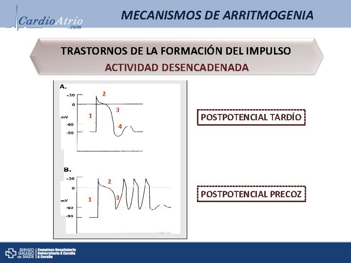 MECANISMOS DE ARRITMOGENIA TRASTORNOS DE LA FORMACIÓN DEL IMPULSO ACTIVIDAD DESENCADENADA 2 3 1 MECANISMOS DE ARRITMOGENIA TRASTORNOS DE LA FORMACIÓN DEL IMPULSO ACTIVIDAD DESENCADENADA 2 3 1