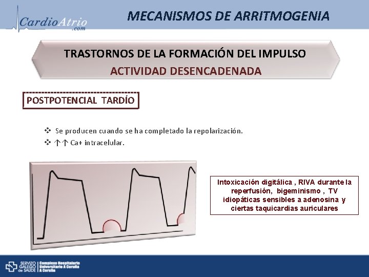 MECANISMOS DE ARRITMOGENIA TRASTORNOS DE LA FORMACIÓN DEL IMPULSO ACTIVIDAD DESENCADENADA POSTPOTENCIAL TARDÍO v MECANISMOS DE ARRITMOGENIA TRASTORNOS DE LA FORMACIÓN DEL IMPULSO ACTIVIDAD DESENCADENADA POSTPOTENCIAL TARDÍO v