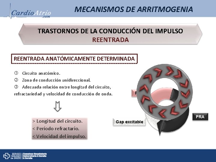 MECANISMOS DE ARRITMOGENIA TRASTORNOS DE LA CONDUCCIÓN DEL IMPULSO REENTRADA ANATÓMICAMENTE DETERMINADA Circuito anatómico. MECANISMOS DE ARRITMOGENIA TRASTORNOS DE LA CONDUCCIÓN DEL IMPULSO REENTRADA ANATÓMICAMENTE DETERMINADA Circuito anatómico.