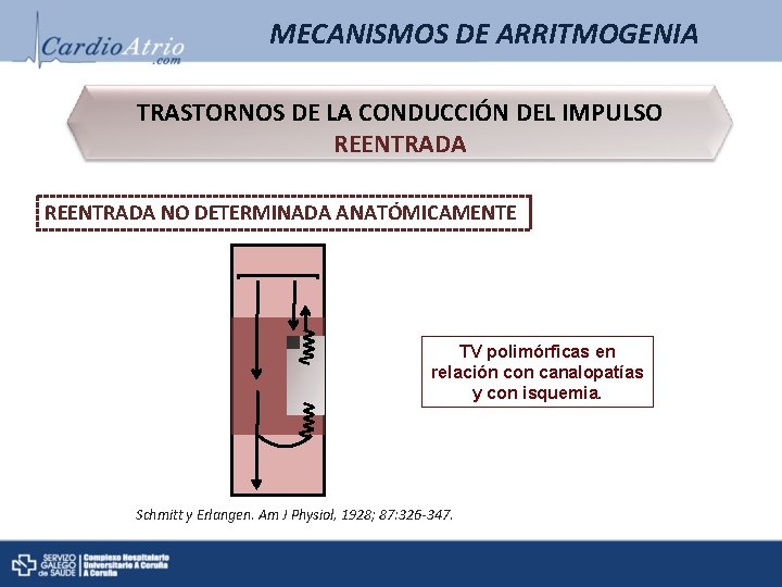 MECANISMOS DE ARRITMOGENIA TRASTORNOS DE LA CONDUCCIÓN DEL IMPULSO REENTRADA NO DETERMINADA ANATÓMICAMENTE TV MECANISMOS DE ARRITMOGENIA TRASTORNOS DE LA CONDUCCIÓN DEL IMPULSO REENTRADA NO DETERMINADA ANATÓMICAMENTE TV