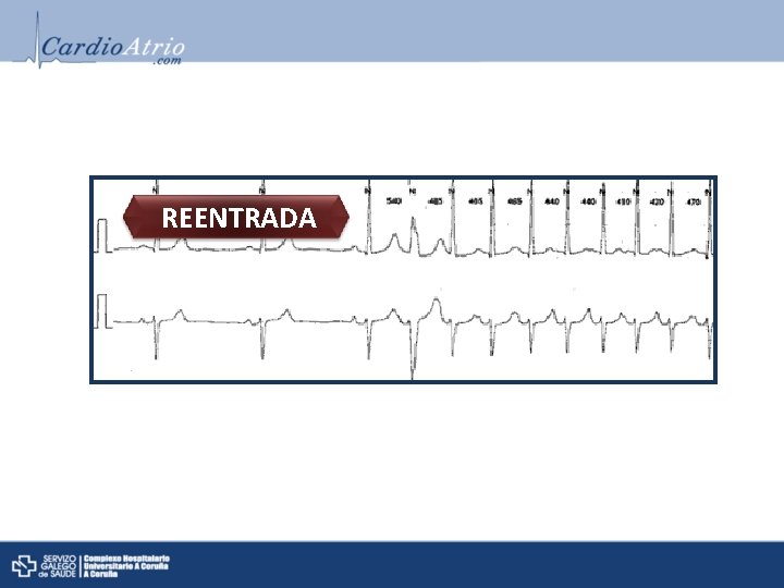 REENTRADA REENTRADA