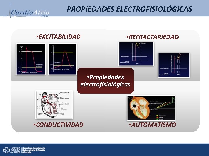 PROPIEDADES ELECTROFISIOLÓGICAS • EXCITABILIDAD • REFRACTARIEDAD • Propiedades electrofisiológicas • CONDUCTIVIDAD • AUTOMATISMO PROPIEDADES ELECTROFISIOLÓGICAS • EXCITABILIDAD • REFRACTARIEDAD • Propiedades electrofisiológicas • CONDUCTIVIDAD • AUTOMATISMO