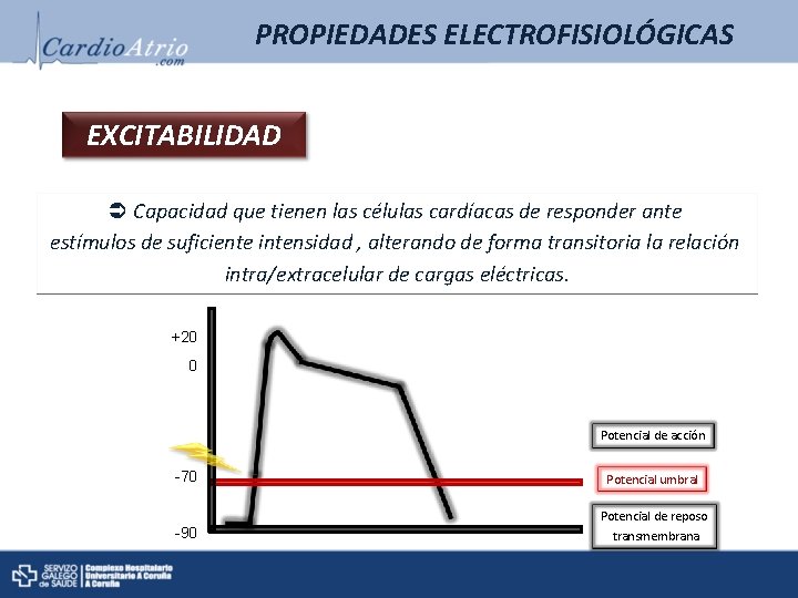 PROPIEDADES ELECTROFISIOLÓGICAS EXCITABILIDAD Capacidad que tienen las células cardíacas de responder ante estímulos de PROPIEDADES ELECTROFISIOLÓGICAS EXCITABILIDAD Capacidad que tienen las células cardíacas de responder ante estímulos de