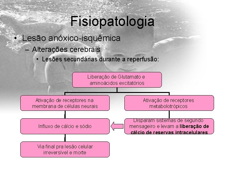 Fisiopatologia • Lesão anóxico-isquêmica – Alterações cerebrais • Lesões secundárias durante a reperfusão: Liberação