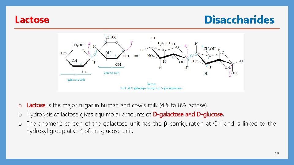 Lactose Disaccharides o Lactose is the major sugar in human and cow’s milk (4%