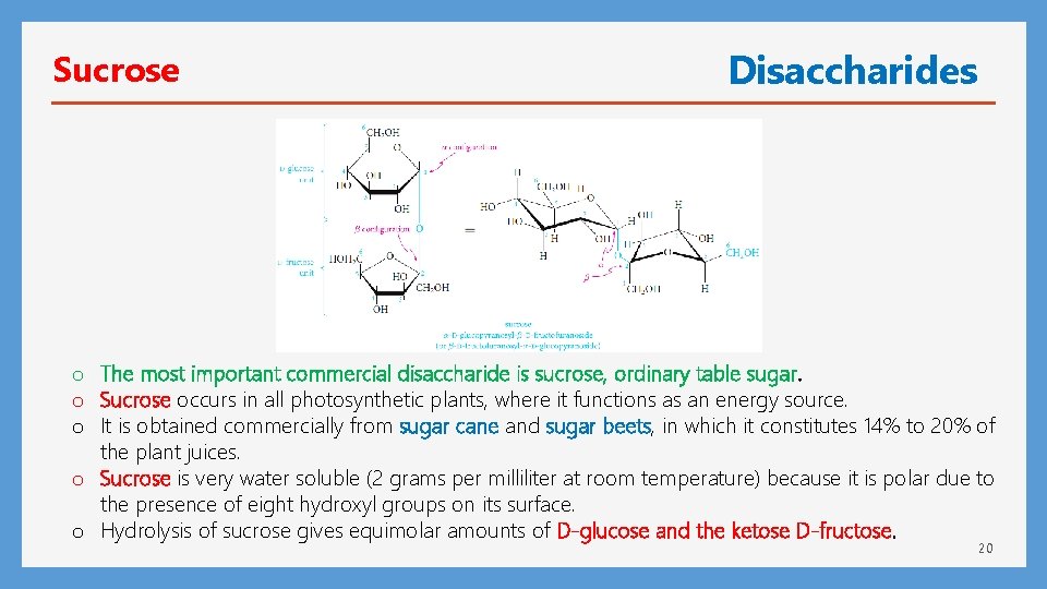 Sucrose Disaccharides o The most important commercial disaccharide is sucrose, ordinary table sugar. o