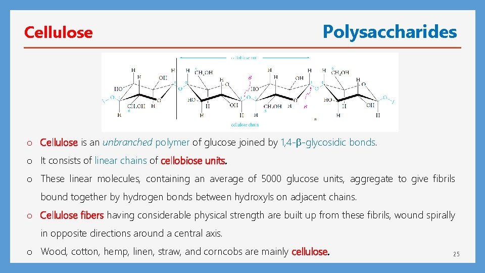 Cellulose Polysaccharides o Cellulose is an unbranched polymer of glucose joined by 1, 4