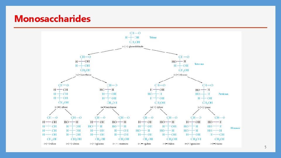 Monosaccharides 5 