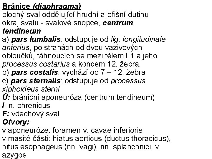 Bránice (diaphragma) plochý sval oddělující hrudní a břišní dutinu okraj svalu - svalové snopce,