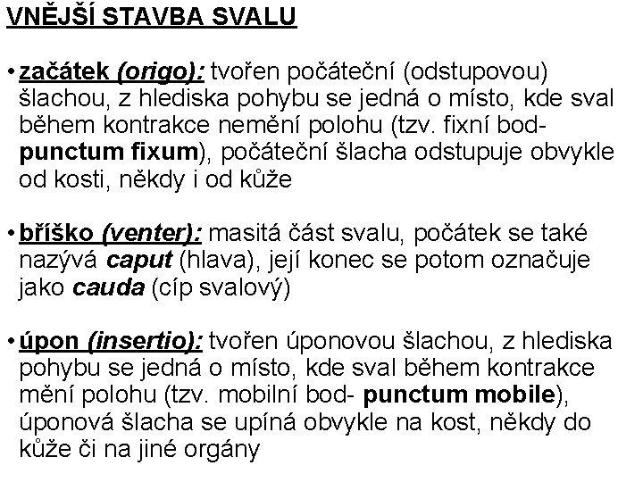 VNĚJŠÍ STAVBA SVALU • začátek (origo): tvořen počáteční (odstupovou) šlachou, z hlediska pohybu se