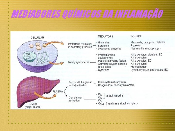MEDIADORES QUÍMICOS DA INFLAMAÇÃO 