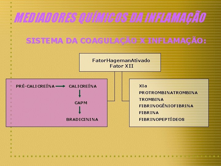 MEDIADORES QUÍMICOS DA INFLAMAÇÃO SISTEMA DA COAGULAÇÃO X INFLAMAÇÃO: Fator Hageman. Ativado Fator XII