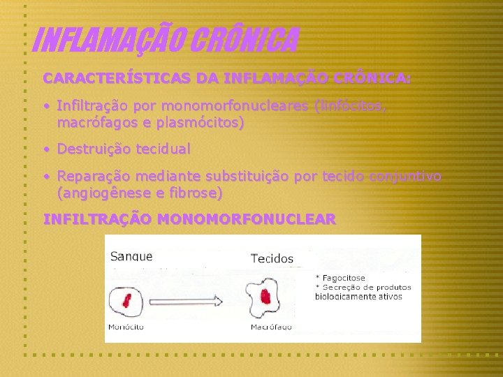 INFLAMAÇÃO CRÔNICA CARACTERÍSTICAS DA INFLAMAÇÃO CRÔNICA: • Infiltração por monomorfonucleares (linfócitos, macrófagos e plasmócitos)