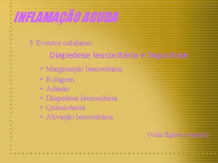 INFLAMAÇÃO AGUDA 3 Eventos celulares: Diapedese leucocitária e fagocitose • Marginação leucocitária • Rolagem