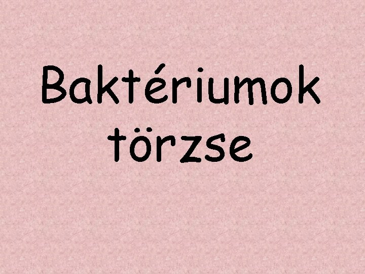 Baktériumok törzse 